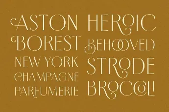 Borest Elegant Roman Sans Serif font