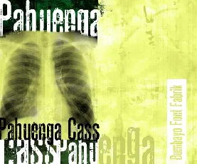 Pahuenga Cass font