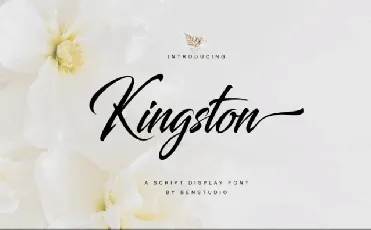 Kingston font