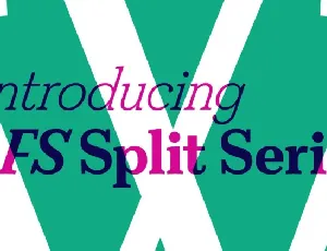 FS Split Serif Family font