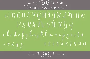 Cantoni font