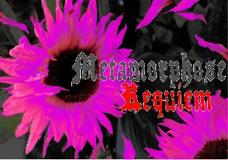 Metamorphose Requiem font