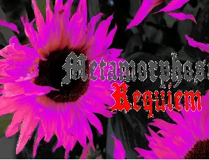 Metamorphose Requiem font