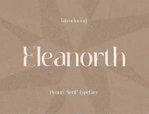 Eleanorth Demo font