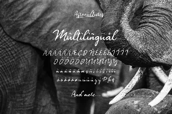 Afrocultures font