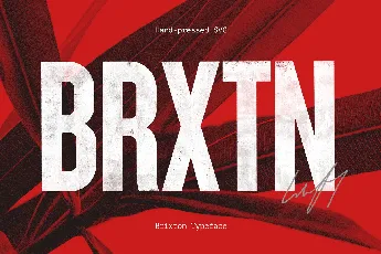 Brixton Typefamily font