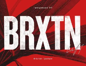 Brixton Typefamily font