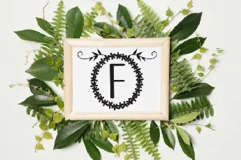 Wedding Monogram Display font