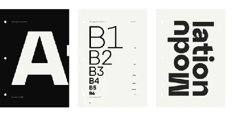 Atyp Family font