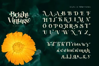 Bright Vintage font