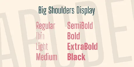 Big Shoulders Display font