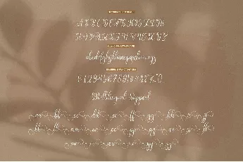 Olynchan font