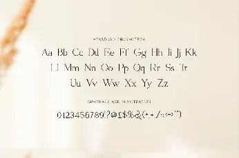 Kinghood font