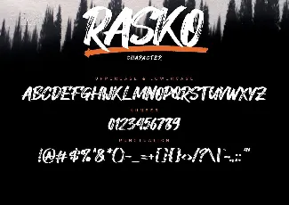 Rasko font