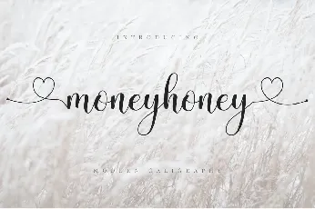 Moneyhoney Modern Calligraphy Script font