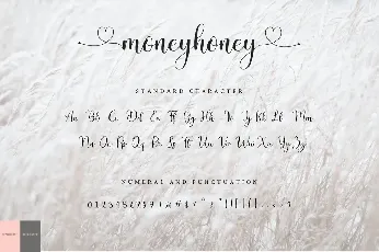 Moneyhoney Modern Calligraphy Script font