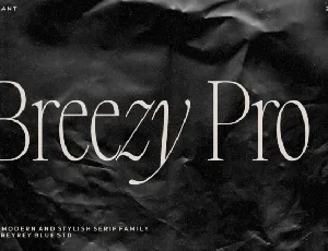 Breezy Pro font