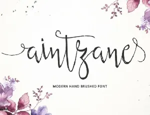 Aintzane Script font