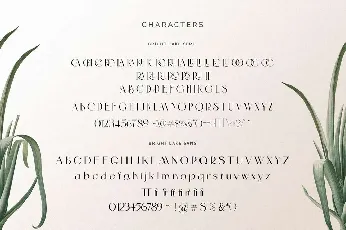 The Bright Lake Duo font