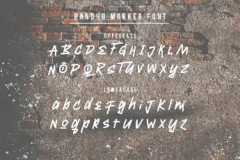 Randhu Free Trial font