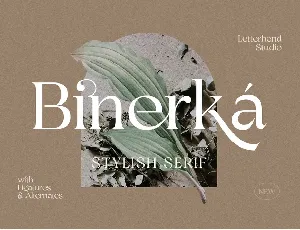 Binerka font