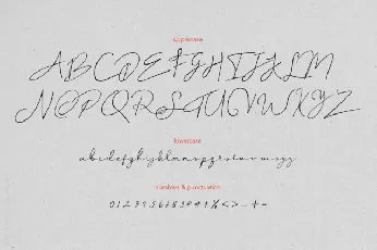 Peylon Viggo font