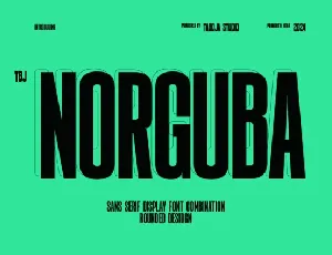 TBJ Norguba font