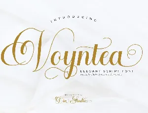 Voyntea Elegant Calligraphy Script font