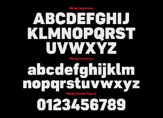 Roag Family font