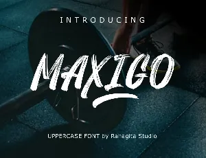 MAXIGO font