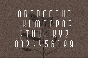 Signaline font