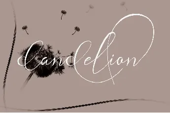 Andora Ardelion Script font