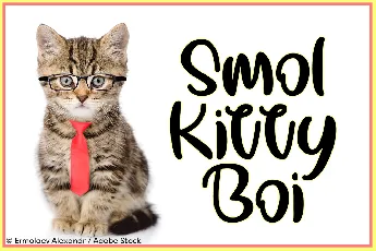 Smol Kitty Boi font