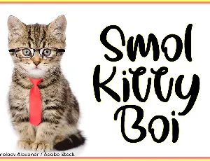 Smol Kitty Boi font