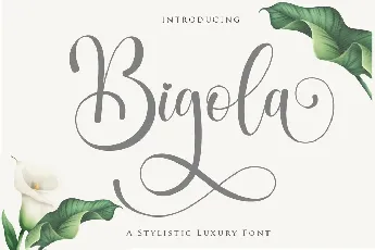 Bigola font