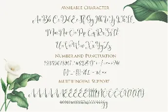 Bigola font