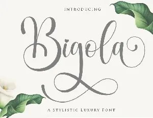 Bigola font