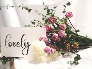 Wedding Calligraphy font