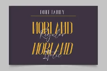 Norland Serif font