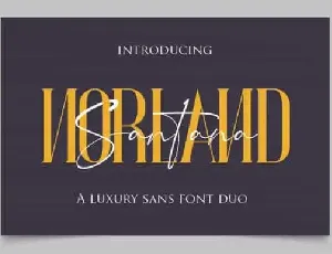 Norland Serif font