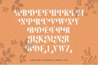 Regint Elegant Serif Display font