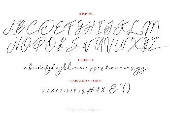 Ringston Haneul Demo font