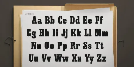 Ganges Slab Family font