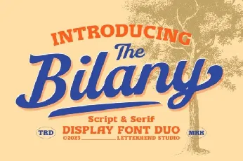 Bilany font