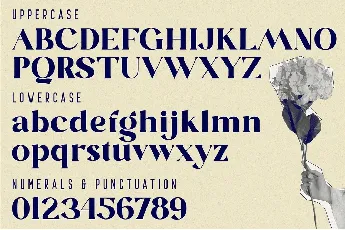 Blastula font