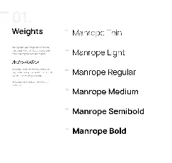 Manrope Family font