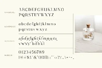 Collina font