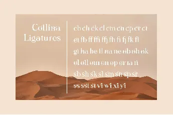 Collina font