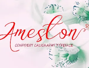 Ameston font