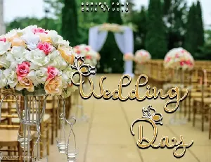 Wedding Day Script font